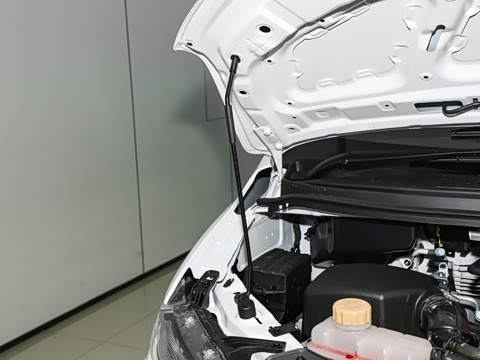 2025�� ���̰� ������ 7��