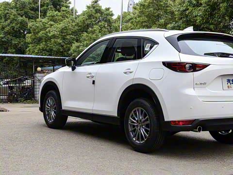 2020�� �Ŀ� 2.0L �Զ�����������