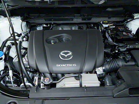 2025�� 2.0L �Զ���������Pro