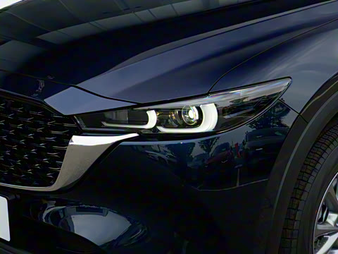 2025�� 2.0L �Զ�����������