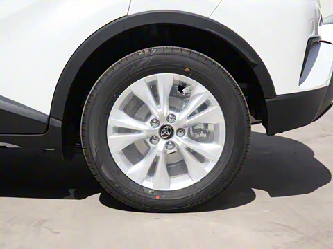 2021�� ˫�� 2.0L ������