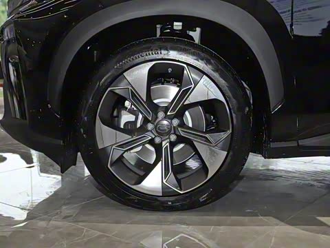 2020�� 80 �����Ƽ���