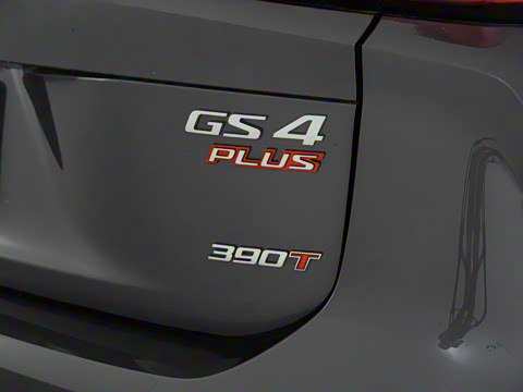 2021�� 390T �Զ����ư�