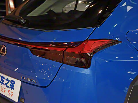 2020�� 300e ��������