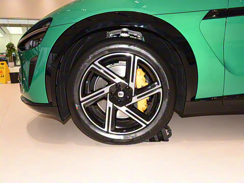 2025�� ��������������