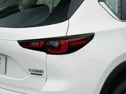 2025�� 2.0L �Զ���������Pro