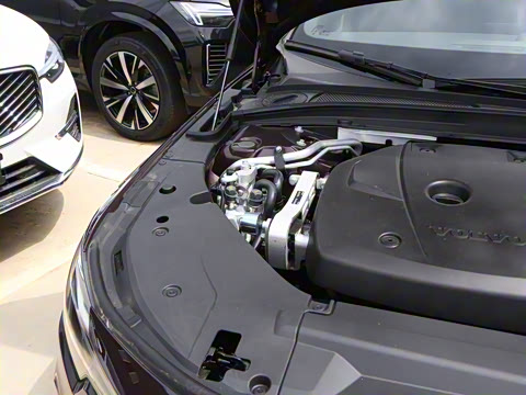 2026�� ���ʽ�춯 ������������Զ������