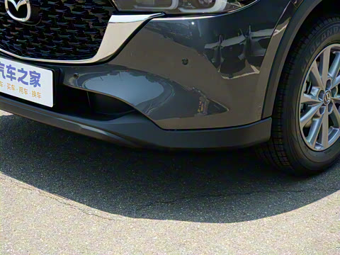 2025�� 2.0L �Զ�����������