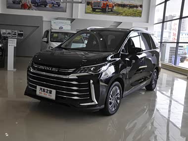 【图】大通g50 2021款 plus 1.