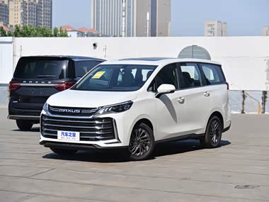 【图】上汽大通maxus g50 2021款 plus 1.