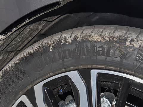 2026�� �������������