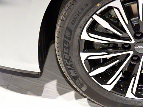 2024�� ���ɰ� 2.0T �콢��