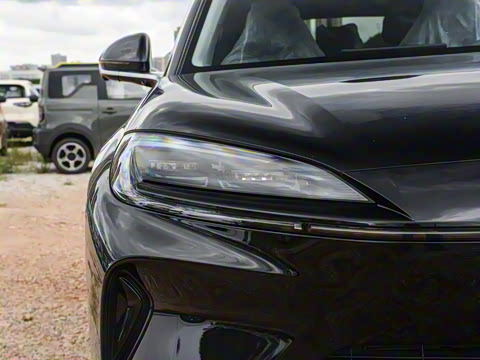 2025�� 135 �����ܼ����״��