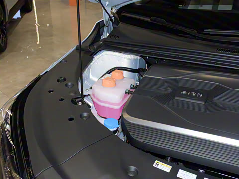 2021�� 70 �Ƽ���