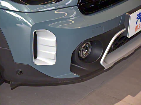 2022�� 2.0T COOPER S ALL4