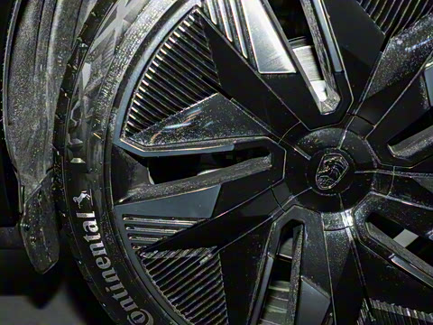 2022�� ��������