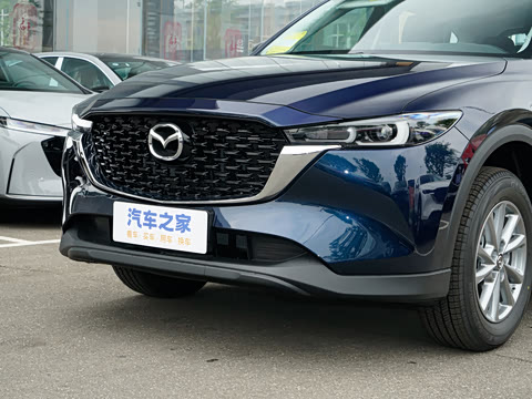 2025�� 2.0L �Զ�����������