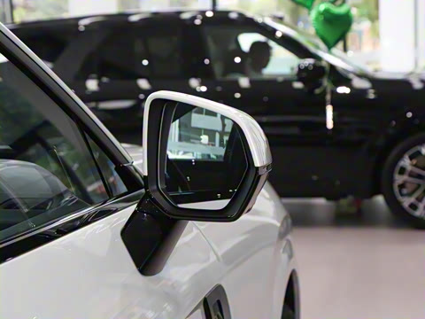 2025�� 2.0TD EM-P ����Max ����