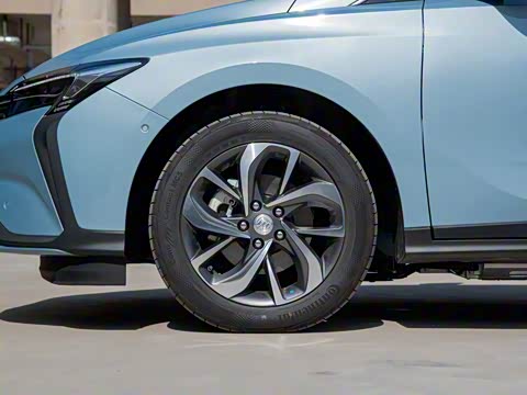 2020�� �����ǻ��� PLUS