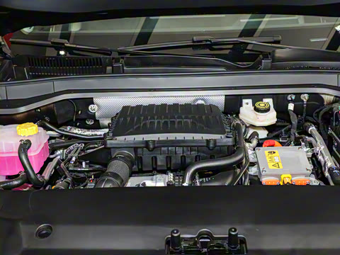 2025�� 120 �������������� 5�� ��Ԫ�