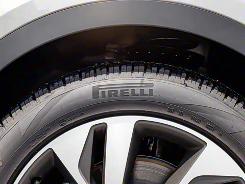 2024�� ��ȡ�˶��� R-DYNAMIC S