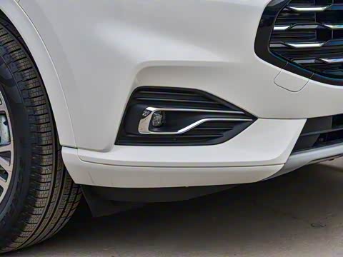 2020�� EcoBoost 245 ����������