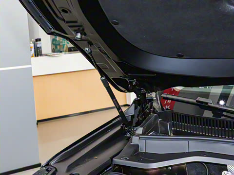 2025�� 120 �������������� 5�� ��Ԫ�