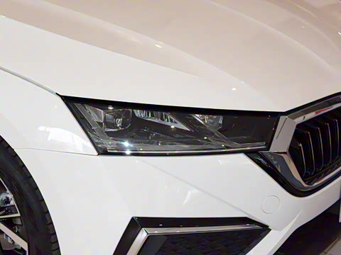 2021�� PRO TSI280 DSG����