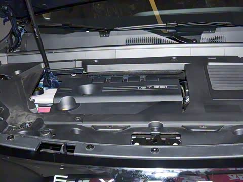 2025�� 300T �����ǹ��