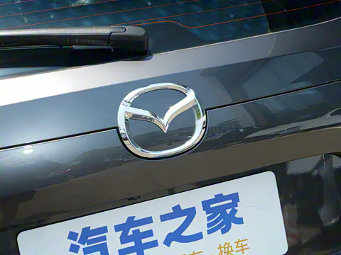 2025�� 2.0L �Զ�����������