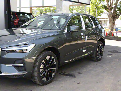 2026�� ���ʽ�춯 ������������Զ������