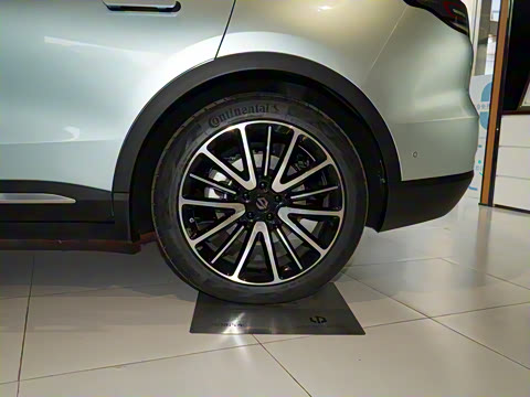 2021�� ������