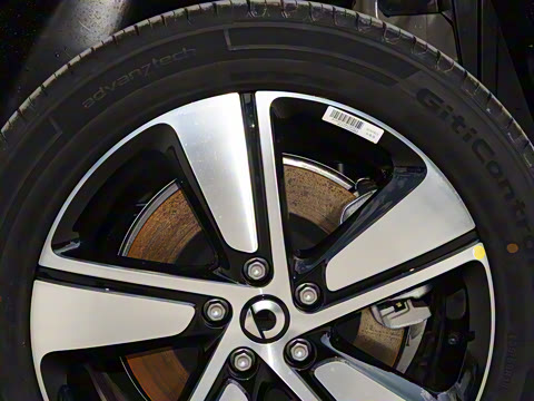 2026�� �鶯��������