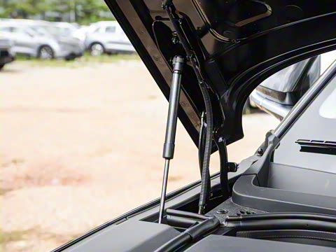 2025�� 135 �����ܼ����״��