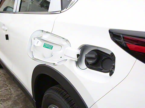 2024�� 2.0L �Զ���������Pro