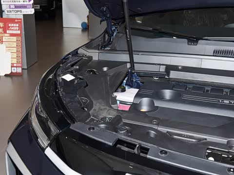 2025�� 300T �����ǹ��