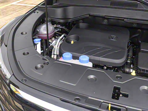 2025�� �ǻ������� 125km ������