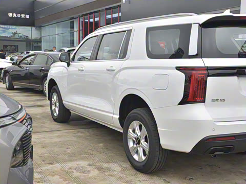 2023�� 2.0T�Զ������촴 ����