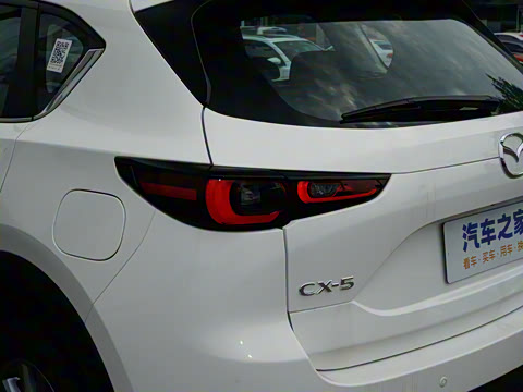 2025�� 2.0L �Զ���������Pro