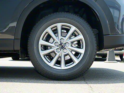 2025�� 2.0L �Զ�����������