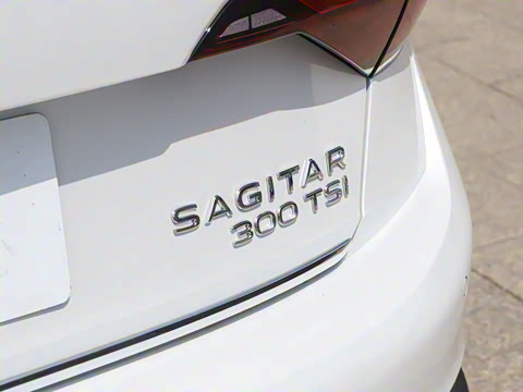 2025�� �Ŀ�� 300TSI DSG׿Խ��