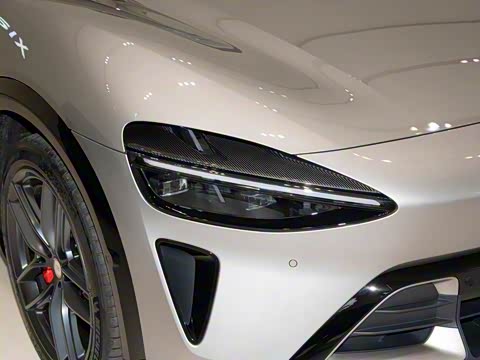 2025�� ������������������Max��