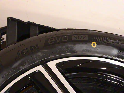 2025�� ��������������