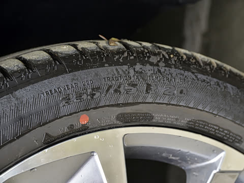 2021�� 390T ����������������棨������