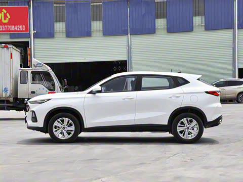 2021�� 1.6L �ֶ���Ӣ��