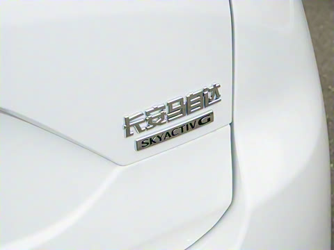 2025�� 2.0L �Զ���������Pro