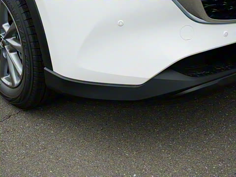 2025�� 2.0L �Զ���������Pro