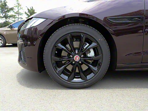 2021�� XFL 2.0T P250 �����׺��˶���