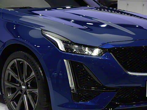 2020�� 28T �����˶���