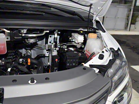 2025�� 110km���� ������7��